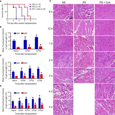 Blockade of IL-6/IL-6R Signaling Attenuates Acute Antibody-Mediated Rejection in a Mouse Cardiac Transplantation Model